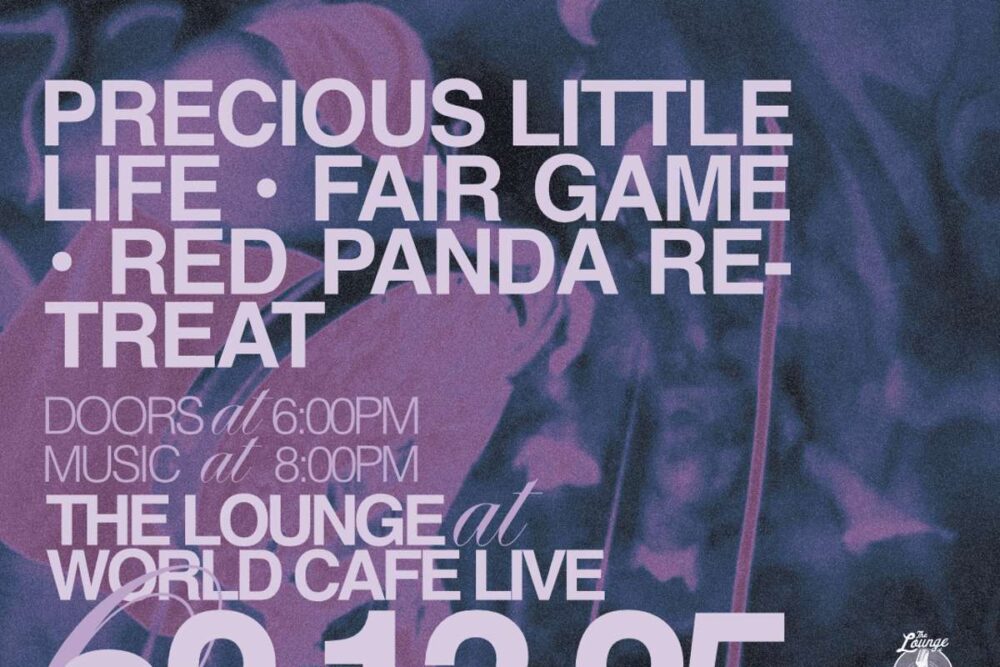 MadKo Concerts Showcase Feat. Precious Little Life // Fair Game // Red Panda Retreat